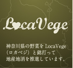 横浜中央卸売市場本場 株式会社丸杉地産地消　神奈川野菜　LocaVege（ロカベジ）