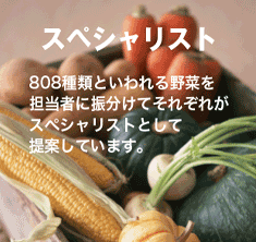 横浜中央卸売市場本場 株式会社丸杉スタッフ紹介 スペシャリスト